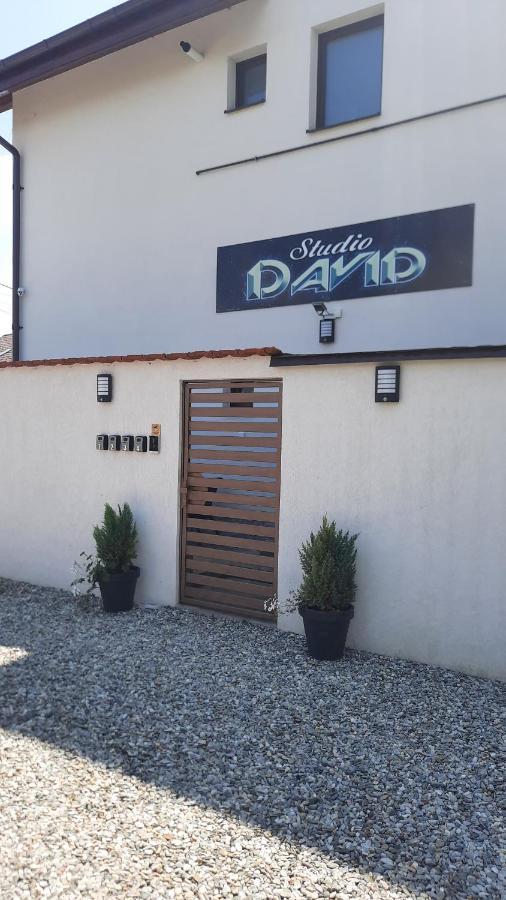 *Studio David* Sibiu Extérieur photo